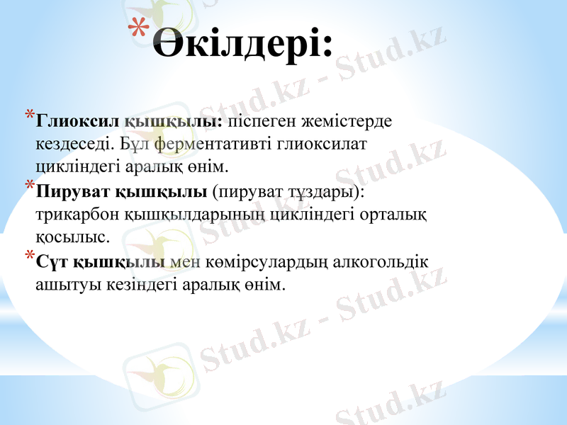 Slide 12
