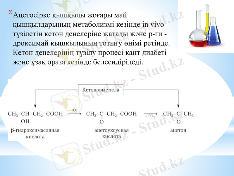 Slide 14
