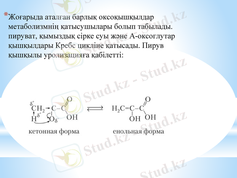 Slide 16