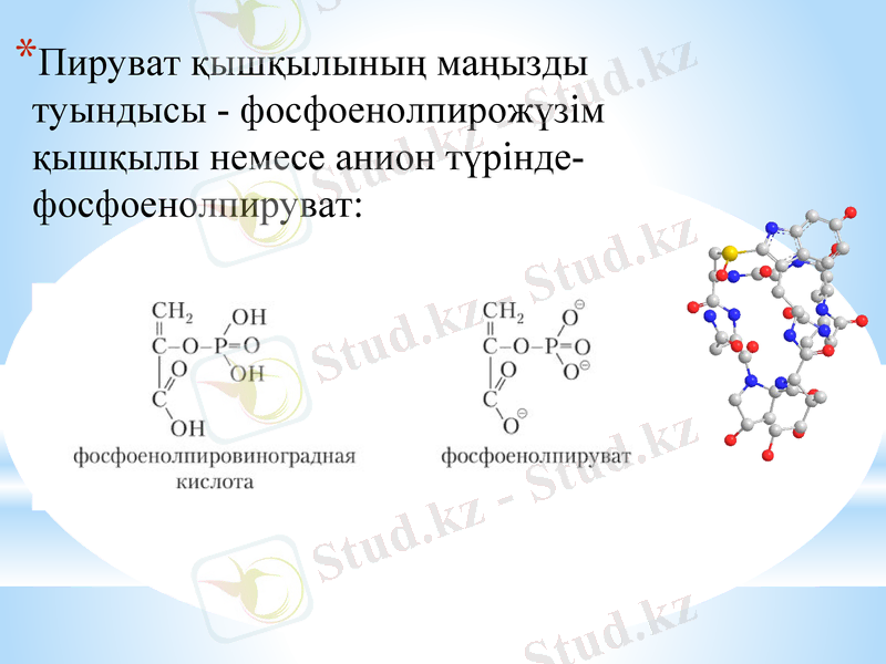 Slide 17