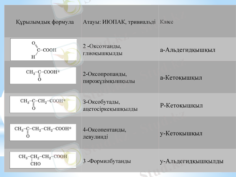 Slide 7