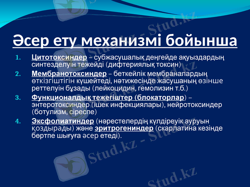 Slide 10