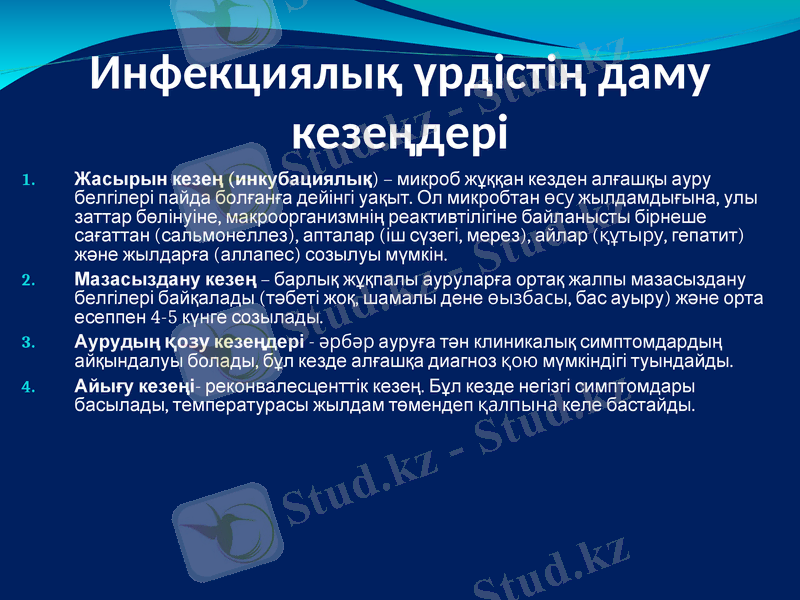 Slide 12