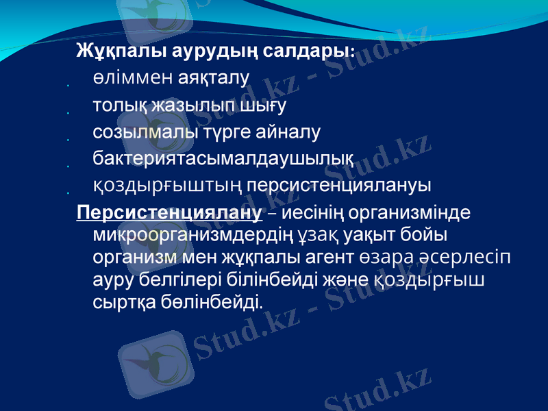 Slide 13