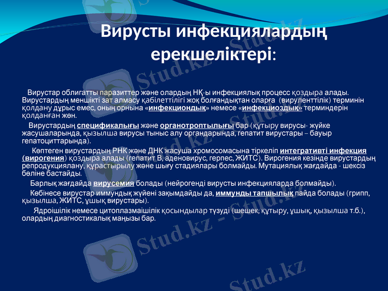 Slide 17