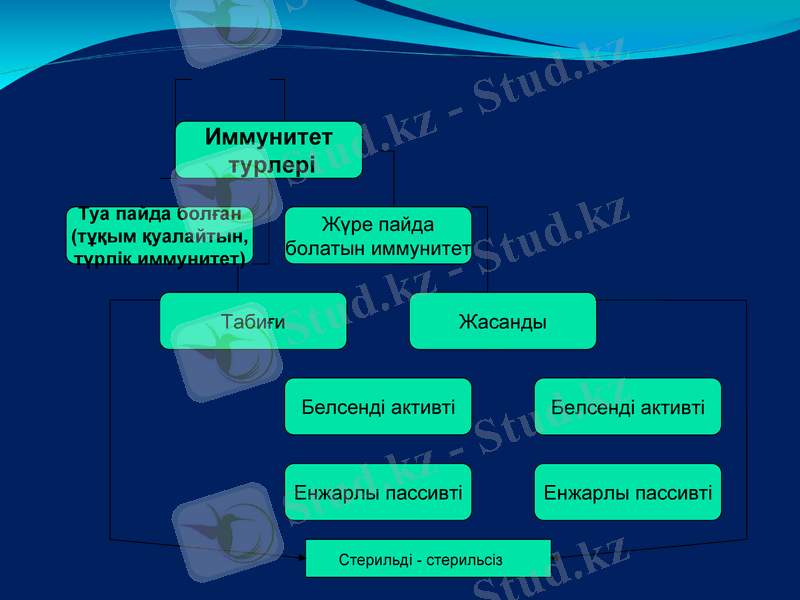 Slide 20