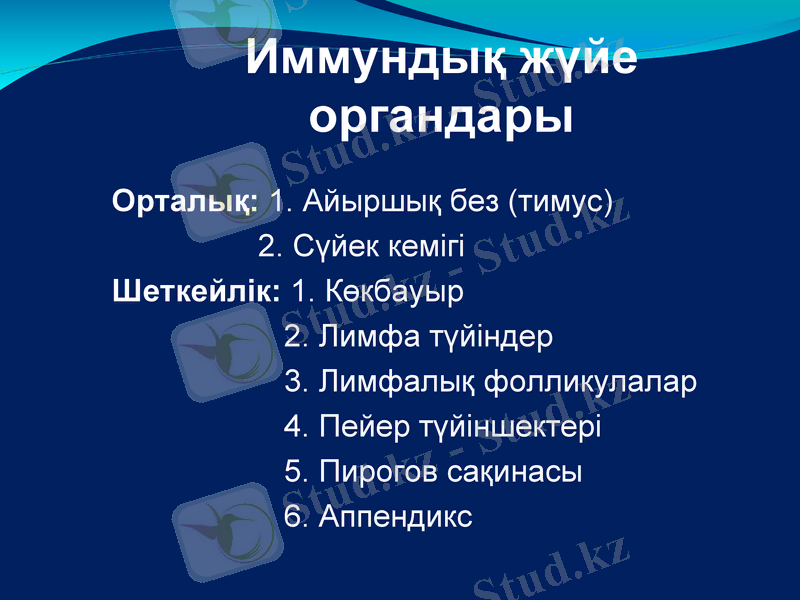Slide 24