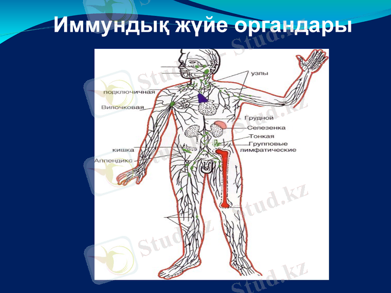Slide 25