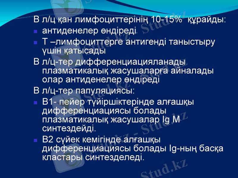 Slide 28
