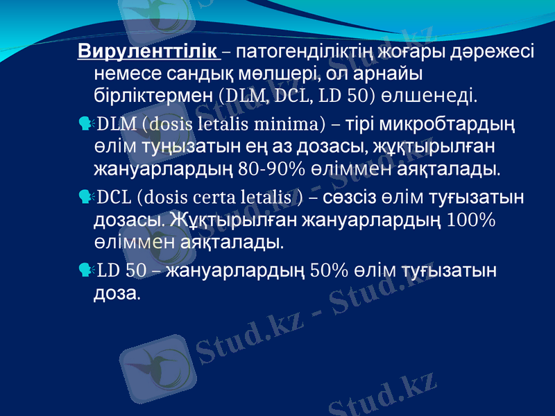 Slide 7