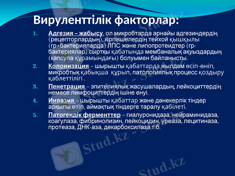 Slide 8