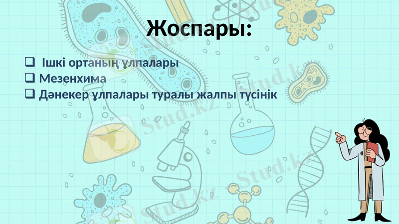 Slide 2