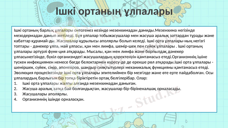 Slide 3