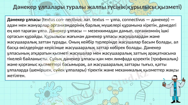 Slide 6