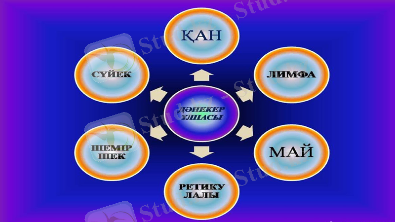 Slide 7