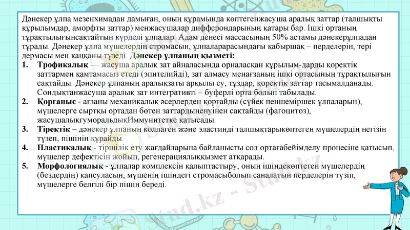 Slide 8