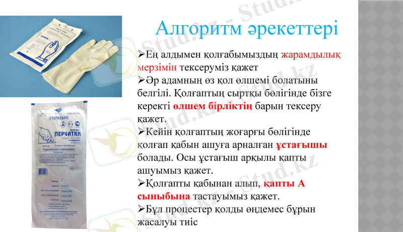Slide 10
