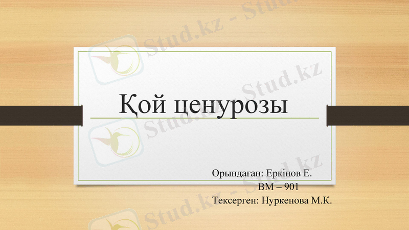 Slide 1