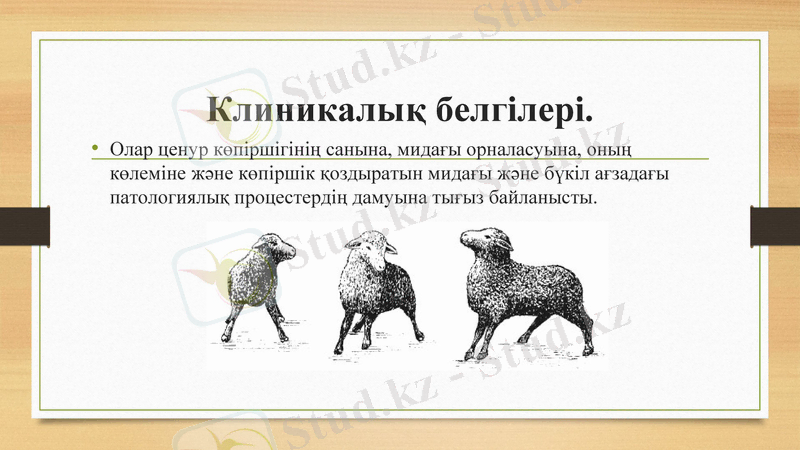 Slide 10
