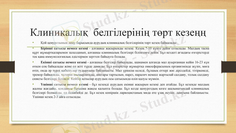 Slide 11