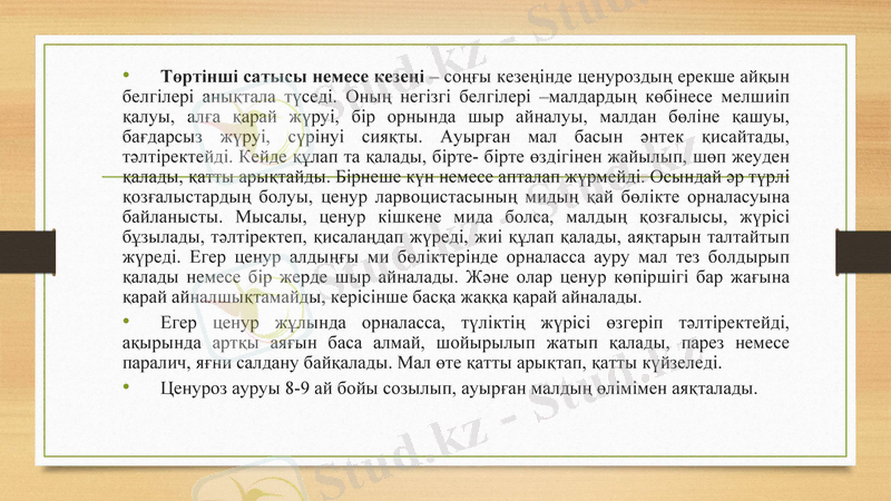 Slide 12