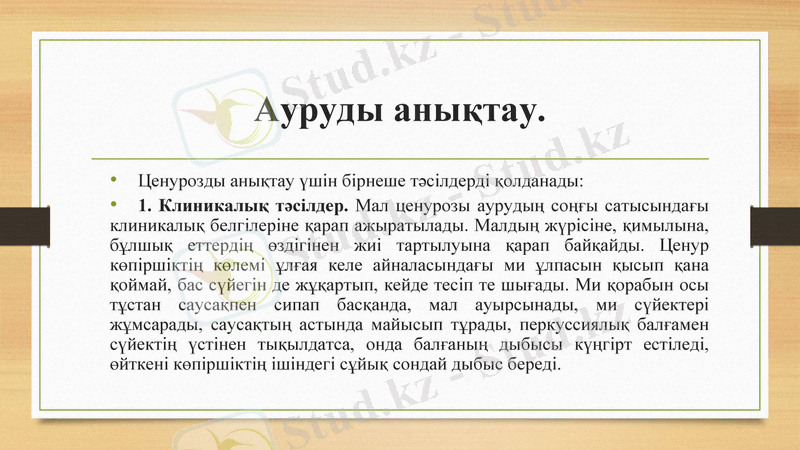 Slide 13
