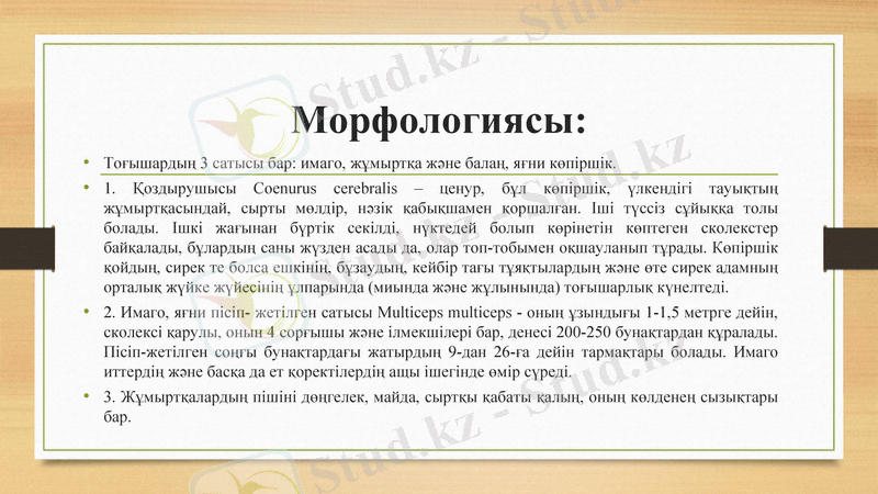 Slide 5