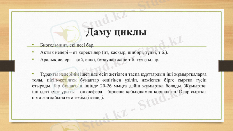 Slide 7