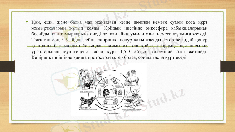 Slide 8