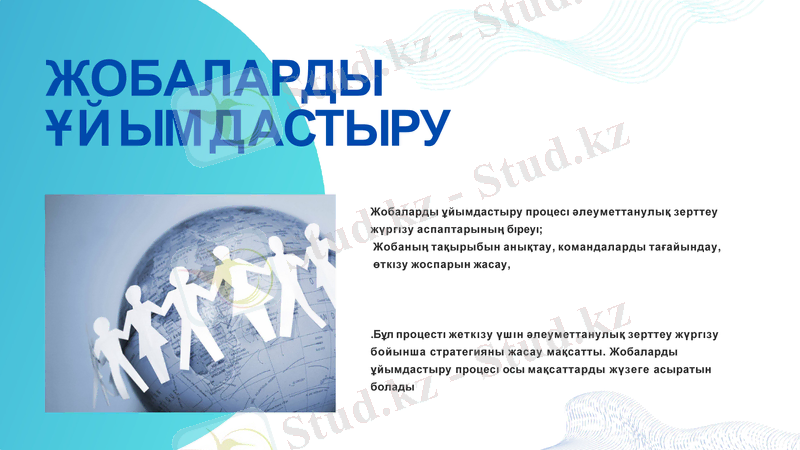 Slide 7