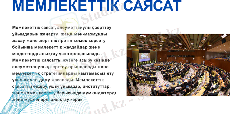 Slide 8