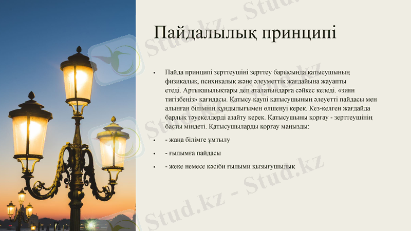 Slide 6