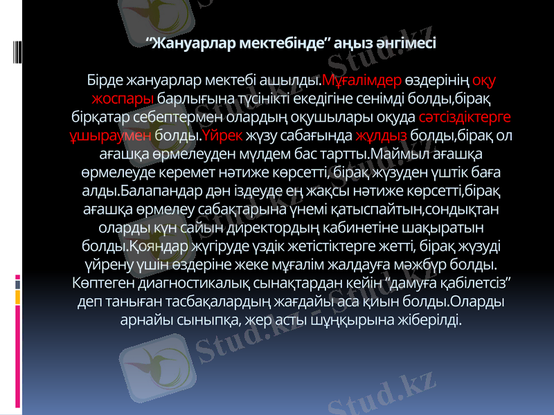 Slide 5