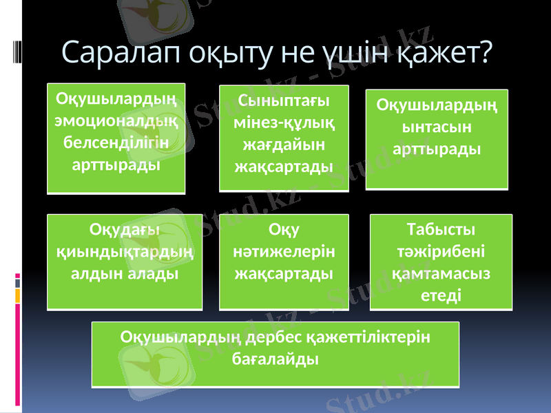 Slide 7