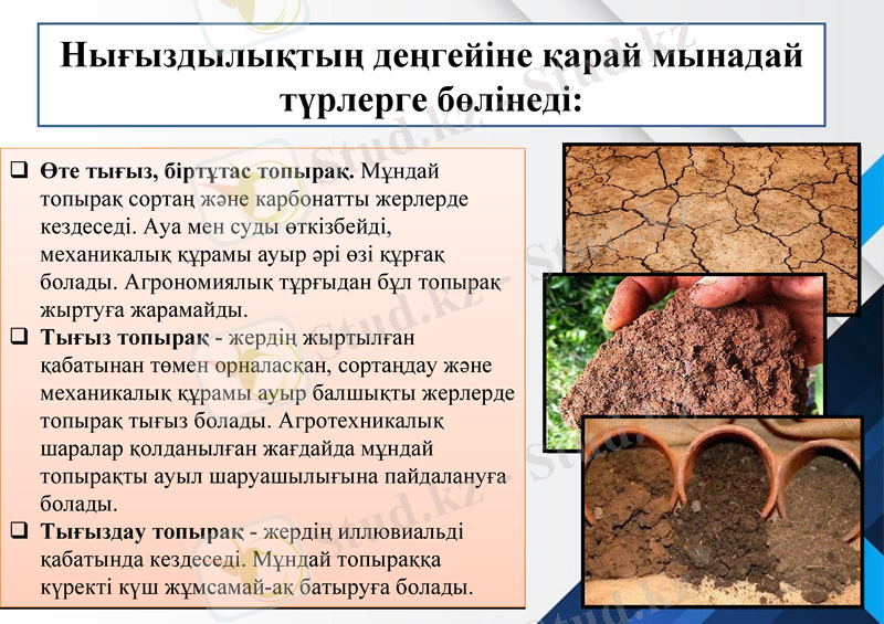 Slide 10