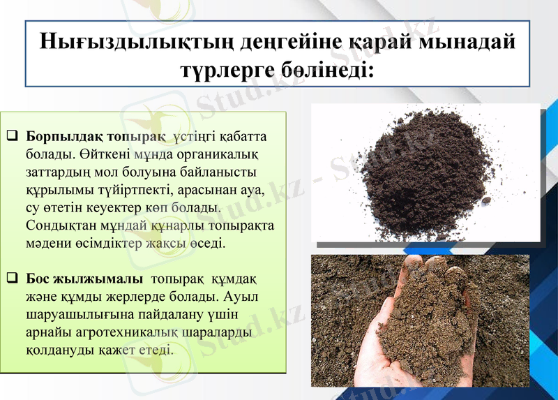 Slide 11