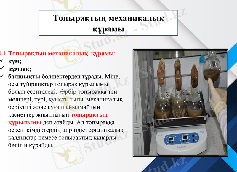 Slide 13