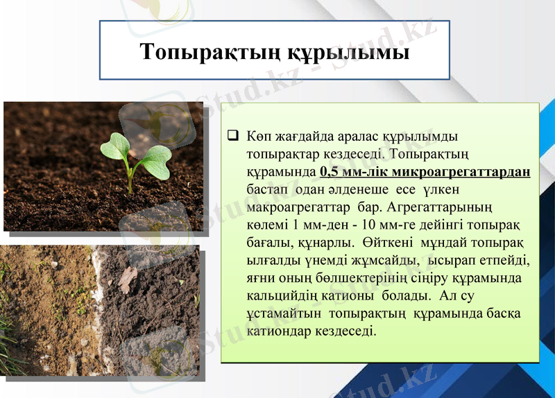 Slide 7