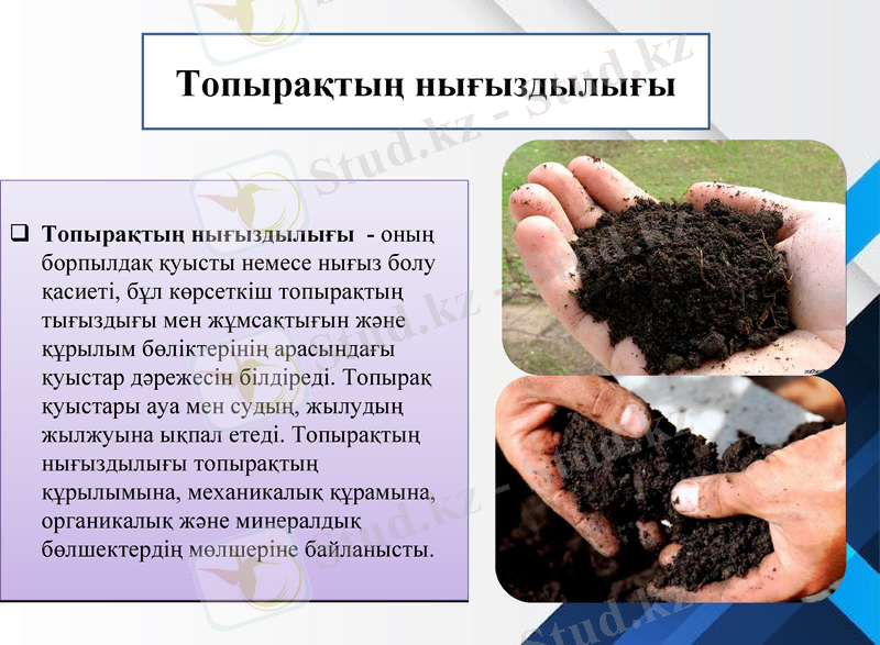 Slide 8