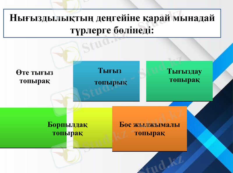 Slide 9