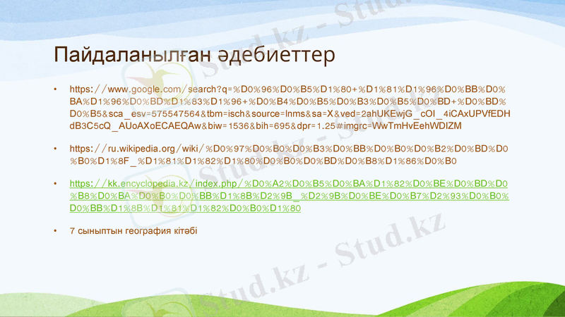 Slide 11