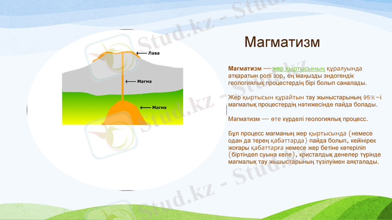 Slide 8