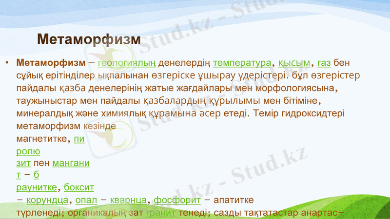Slide 9