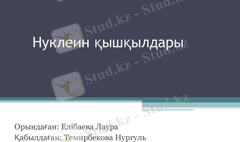 Slide 1