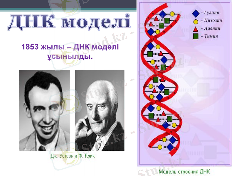 Slide 11