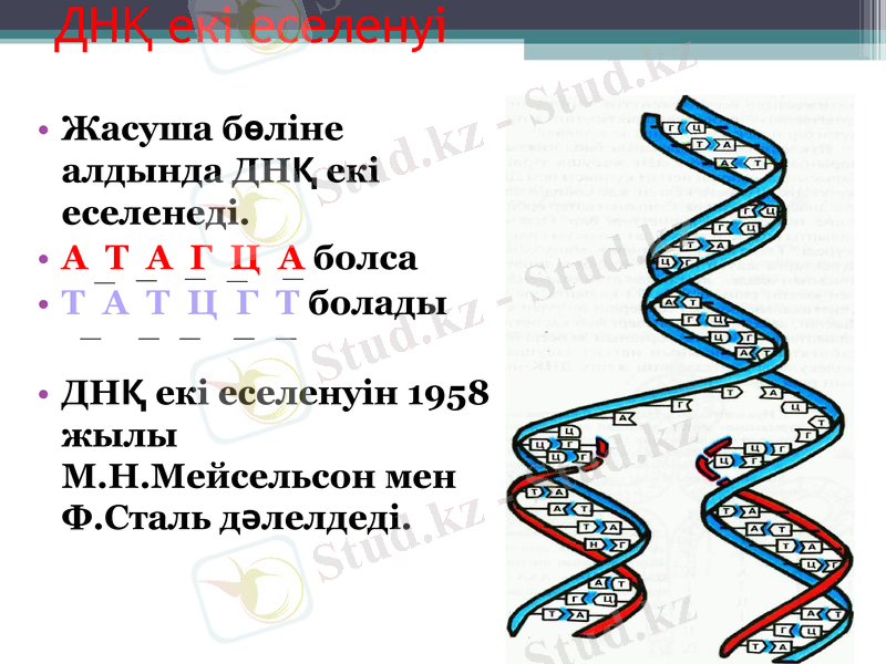 Slide 12