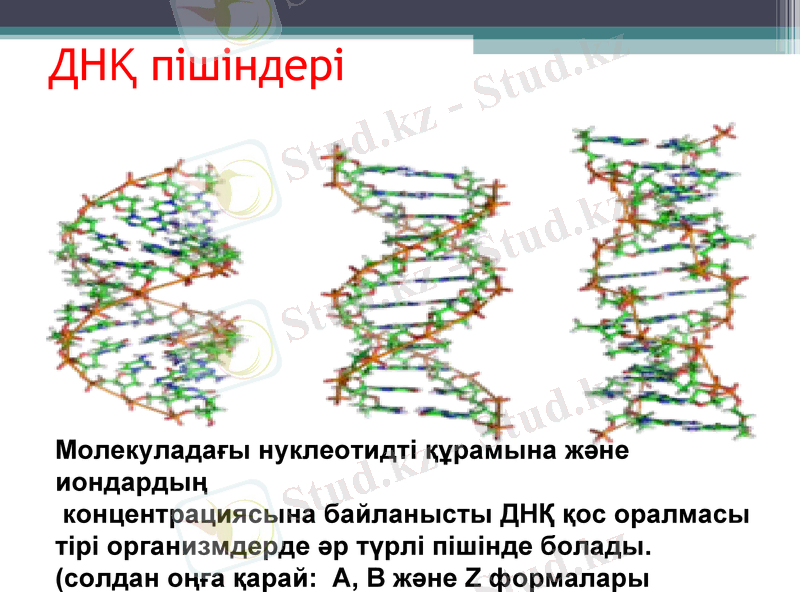 Slide 13