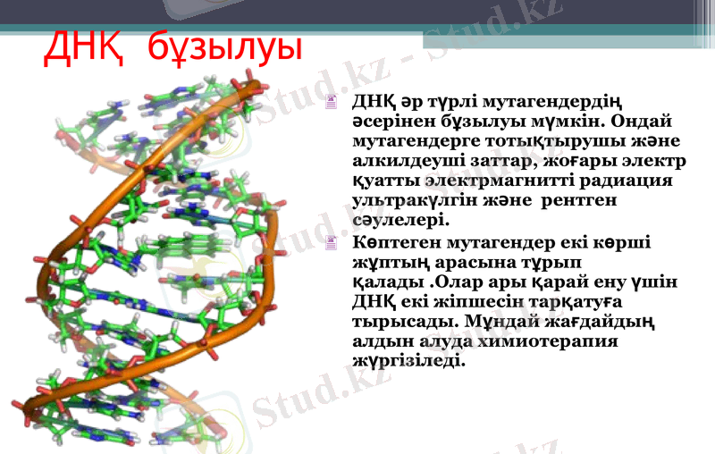 Slide 14