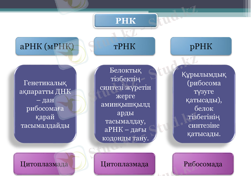 Slide 15