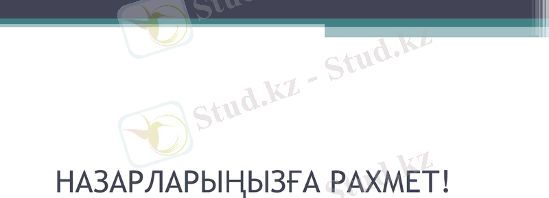 Slide 17